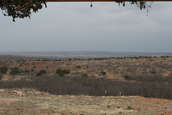 Shoot pictures from the Blue Steel Ranch, Logan NM
 - photo 8 