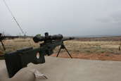 Shoot pictures from the Blue Steel Ranch, Logan NM
 - photo 10 
