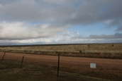 Shoot pictures from the Blue Steel Ranch, Logan NM
 - photo 11 