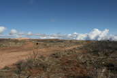 Shoot pictures from the Blue Steel Ranch, Logan NM
 - photo 12 