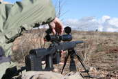 Shoot pictures from the Blue Steel Ranch, Logan NM
 - photo 15 