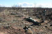 Shoot pictures from the Blue Steel Ranch, Logan NM
 - photo 30 