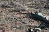 Shoot pictures from the Blue Steel Ranch, Logan NM
 - photo 31 