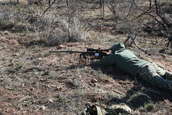 Shoot pictures from the Blue Steel Ranch, Logan NM
 - photo 32 