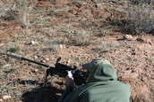 Shoot pictures from the Blue Steel Ranch, Logan NM
 - photo 33 
