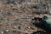 Shoot pictures from the Blue Steel Ranch, Logan NM
 - photo 35 