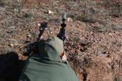 Shoot pictures from the Blue Steel Ranch, Logan NM
 - photo 36 