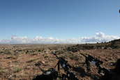 Shoot pictures from the Blue Steel Ranch, Logan NM
 - photo 38 