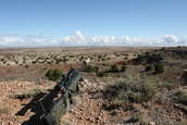 Shoot pictures from the Blue Steel Ranch, Logan NM
 - photo 39 