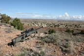 Shoot pictures from the Blue Steel Ranch, Logan NM
 - photo 40 