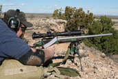 Shoot pictures from the Blue Steel Ranch, Logan NM
 - photo 45 