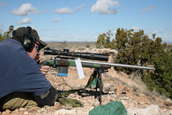 Shoot pictures from the Blue Steel Ranch, Logan NM
 - photo 51 