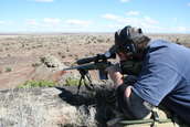 Shoot pictures from the Blue Steel Ranch, Logan NM
 - photo 84 