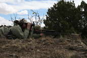 Shoot pictures from the Blue Steel Ranch, Logan NM
 - photo 160 