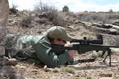 Shoot pictures from the Blue Steel Ranch, Logan NM
 - photo 202 