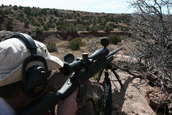 Shoot pictures from the Blue Steel Ranch, Logan NM
 - photo 259 