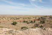 Shoot pictures from the Blue Steel Ranch, Logan NM
 - photo 17 