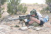 Shoot pictures from the Blue Steel Ranch, Logan NM
 - photo 24 