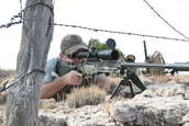 Shoot pictures from the Blue Steel Ranch, Logan NM
 - photo 25 