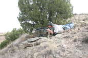 Shoot pictures from the Blue Steel Ranch, Logan NM
 - photo 28 