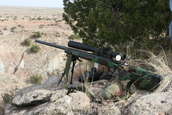 Shoot pictures from the Blue Steel Ranch, Logan NM
 - photo 31 