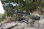 Shoot pictures from the Blue Steel Ranch, Logan NM
 - photo 32 
