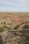 Shoot pictures from the Blue Steel Ranch, Logan NM
 - photo 33 