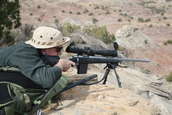 Shoot pictures from the Blue Steel Ranch, Logan NM
 - photo 35 