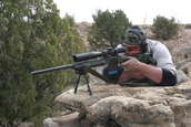 Shoot pictures from the Blue Steel Ranch, Logan NM
 - photo 39 