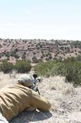 Shoot pictures from the Blue Steel Ranch, Logan NM

 - photo 215 