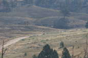 2007 Camp Guernsey Multi-Gun Invitational
 - photo 23 