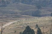 2007 Camp Guernsey Multi-Gun Invitational
 - photo 24 