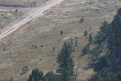 2007 Camp Guernsey Multi-Gun Invitational
 - photo 33 