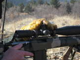 Sporting Rifle Match at the NRA Whittington Center, April 2009
 - photo 30 
