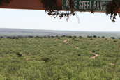 2007 Steel Safari
 - photo 6 