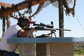 2007 Steel Safari
 - photo 17 