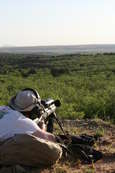 2007 Steel Safari
 - photo 39 