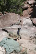 2010 Steel Safari Rifle Match
 - photo 733 