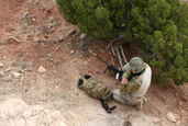 2011 Steel Safari Rifle Match
 - photo 81 