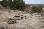 2011 Steel Safari Rifle Match
 - photo 174 