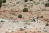 2011 Steel Safari Rifle Match
 - photo 398 