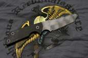Strider EBLT-SS
 - photo 2 